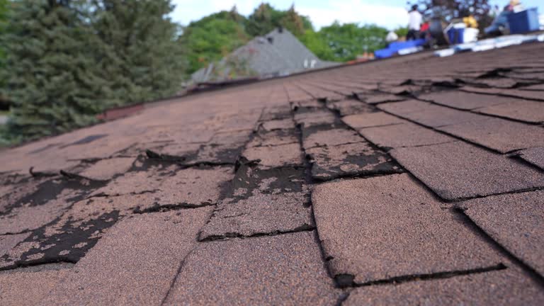 Best Roof Moss and Algae Removal  in Queens Gate, PA