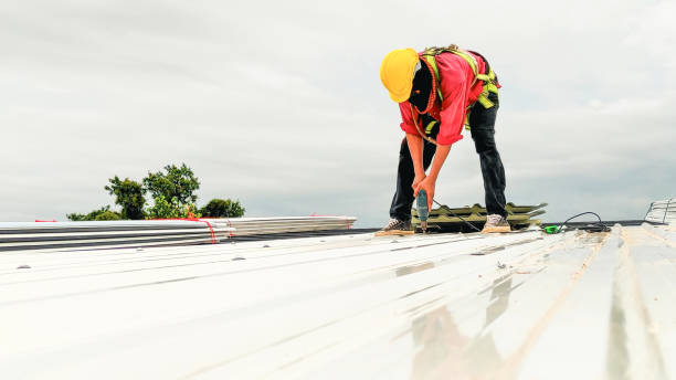 Best Skylight Installation and Repair  in Queens Gate, PA